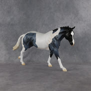 Captain Roberts LE-15 FCM Remington by Madi Wiseman EQ26