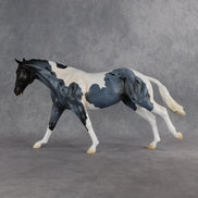 Captain Roberts LE-15 FCM Remington by Madi Wiseman EQ26