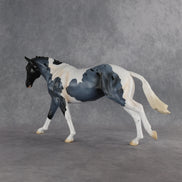 Captain Roberts LE-15 FCM Remington by Madi Wiseman EQ26