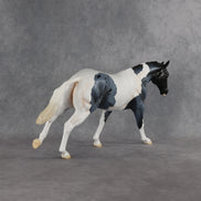 Captain Roberts LE-15 FCM Remington by Madi Wiseman EQ26