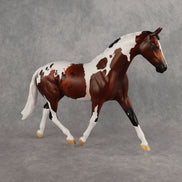 Preview: Captain Taffe LE-5 EFCM Pony by Anna Rieck MM26