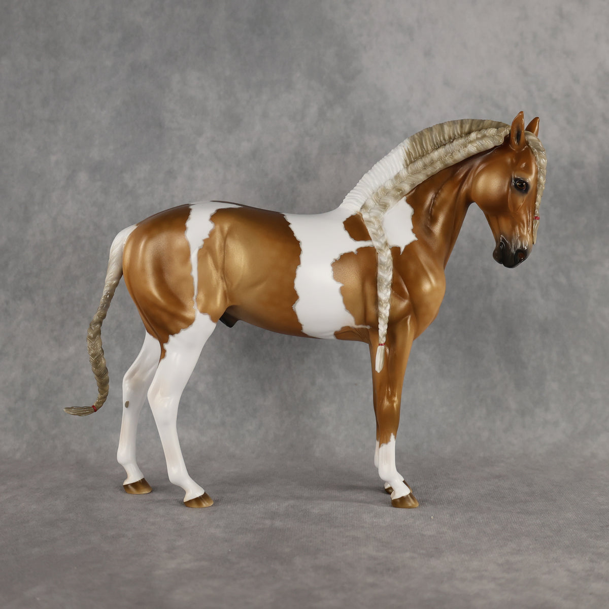 Preview: Captain Solomon LE-5 EFCM Andalusian by Ashley Palmer MM26