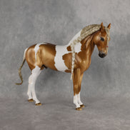 Preview: Captain Solomon LE-5 EFCM Andalusian by Ashley Palmer MM26