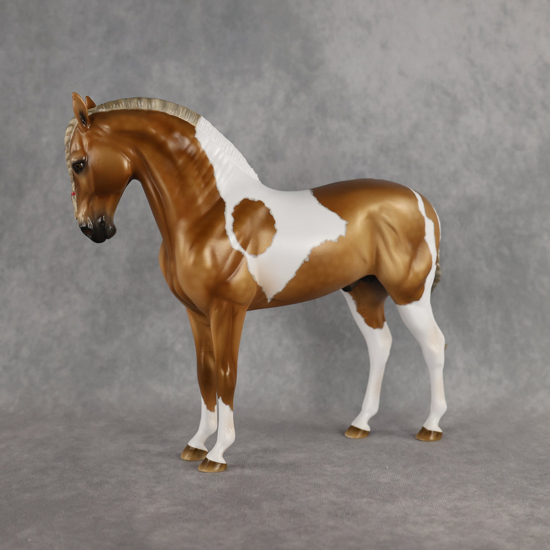 Preview: Captain Solomon LE-5 EFCM Andalusian by Ashley Palmer MM26