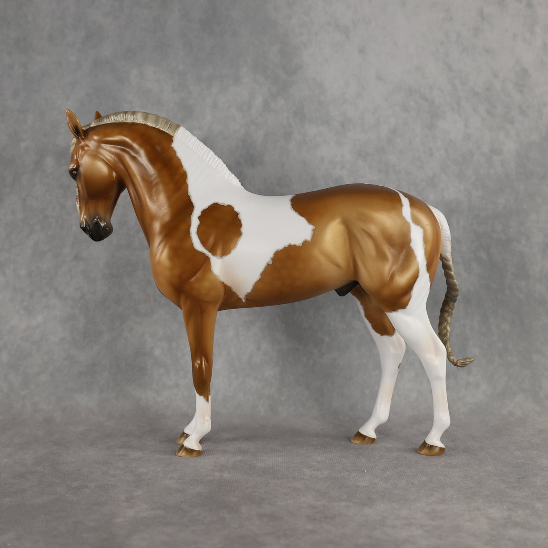 Preview: Captain Solomon LE-5 EFCM Andalusian by Ashley Palmer MM26