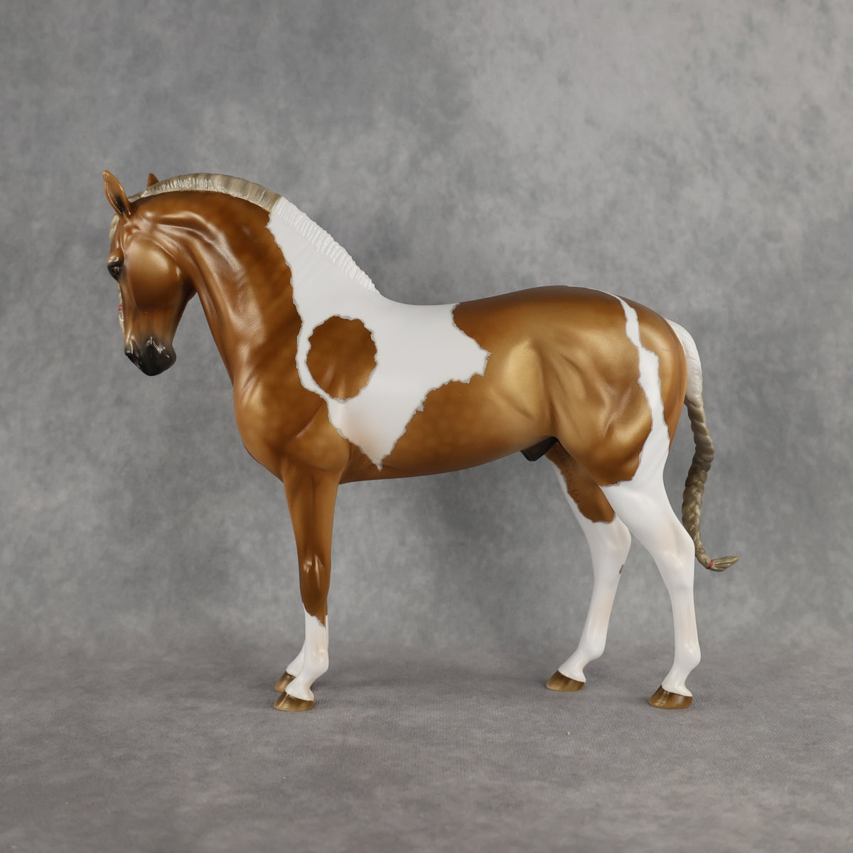 Preview: Captain Solomon LE-5 EFCM Andalusian by Ashley Palmer MM26