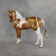 Preview: Captain Solomon LE-5 EFCM Andalusian by Ashley Palmer MM26