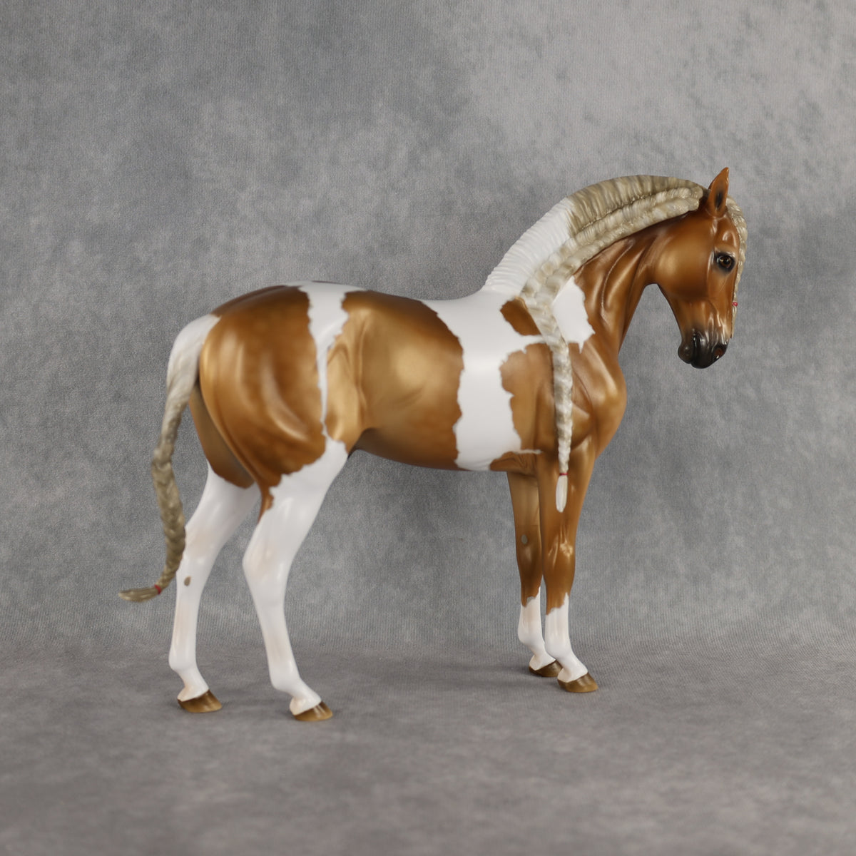 Preview: Captain Solomon LE-5 EFCM Andalusian by Ashley Palmer MM26