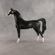 Brackenbury OOAK Arabian Stallion by Jess Hamill SHCF26