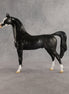 Brackenbury OOAK Arabian Stallion by Jess Hamill SHCF26