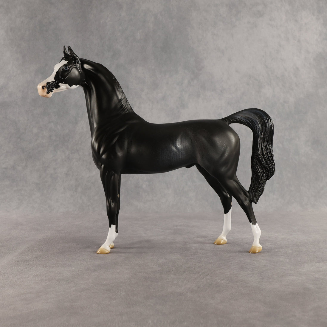 Brackenbury OOAK Arabian Stallion by Jess Hamill SHCF26