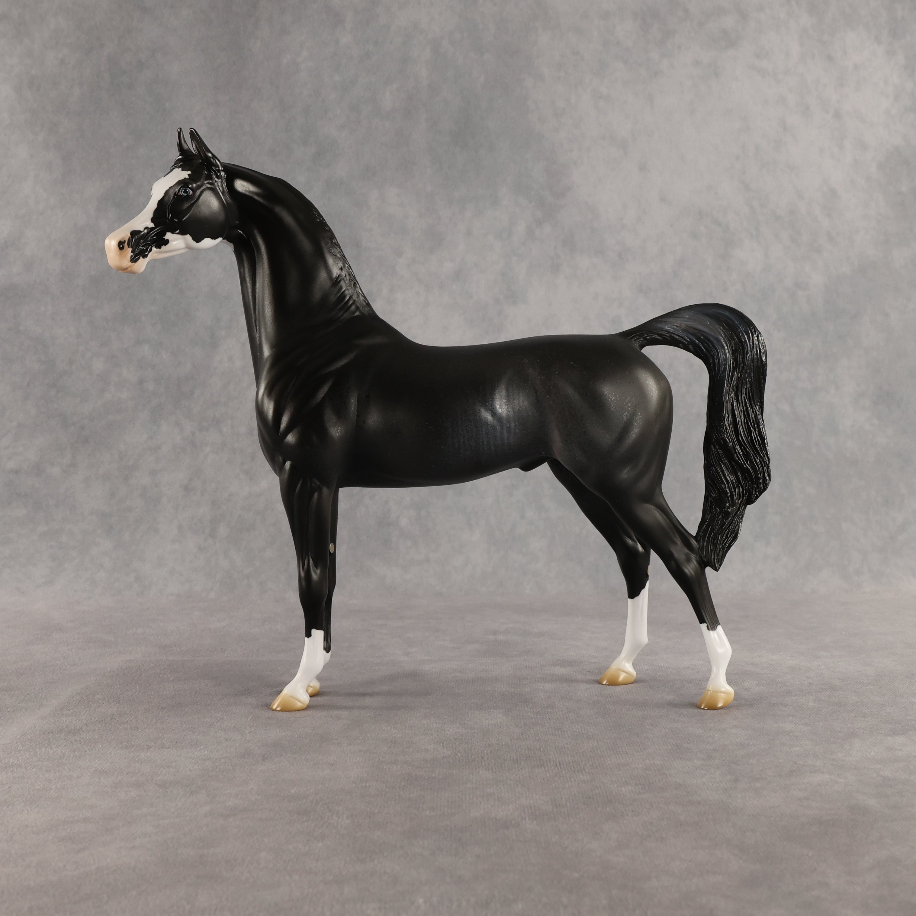 Brackenbury OOAK Arabian Stallion by Jess Hamill SHCF26