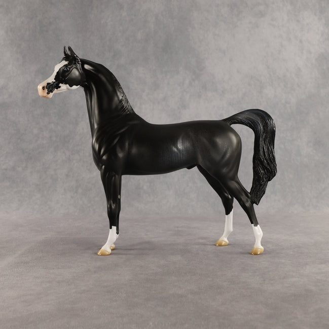 Brackenbury OOAK Arabian Stallion by Jess Hamill SHCF26