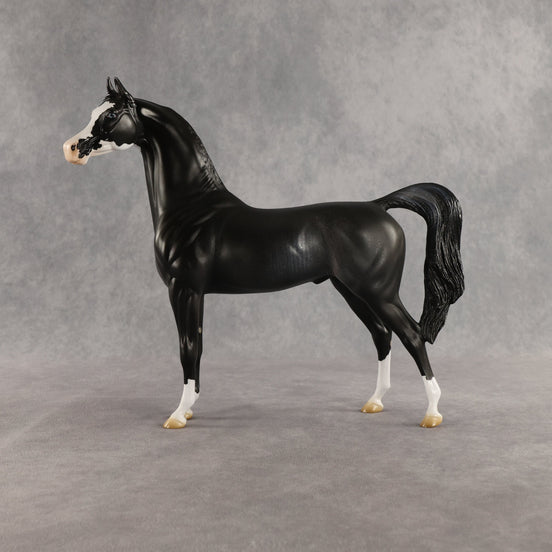 Brackenbury OOAK Arabian Stallion by Jess Hamill SHCF26