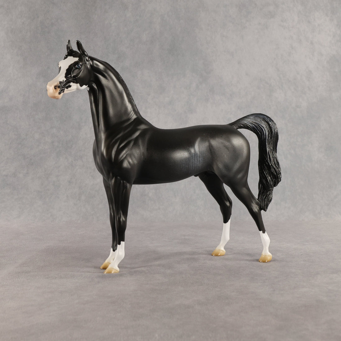 Brackenbury OOAK Arabian Stallion by Jess Hamill SHCF26