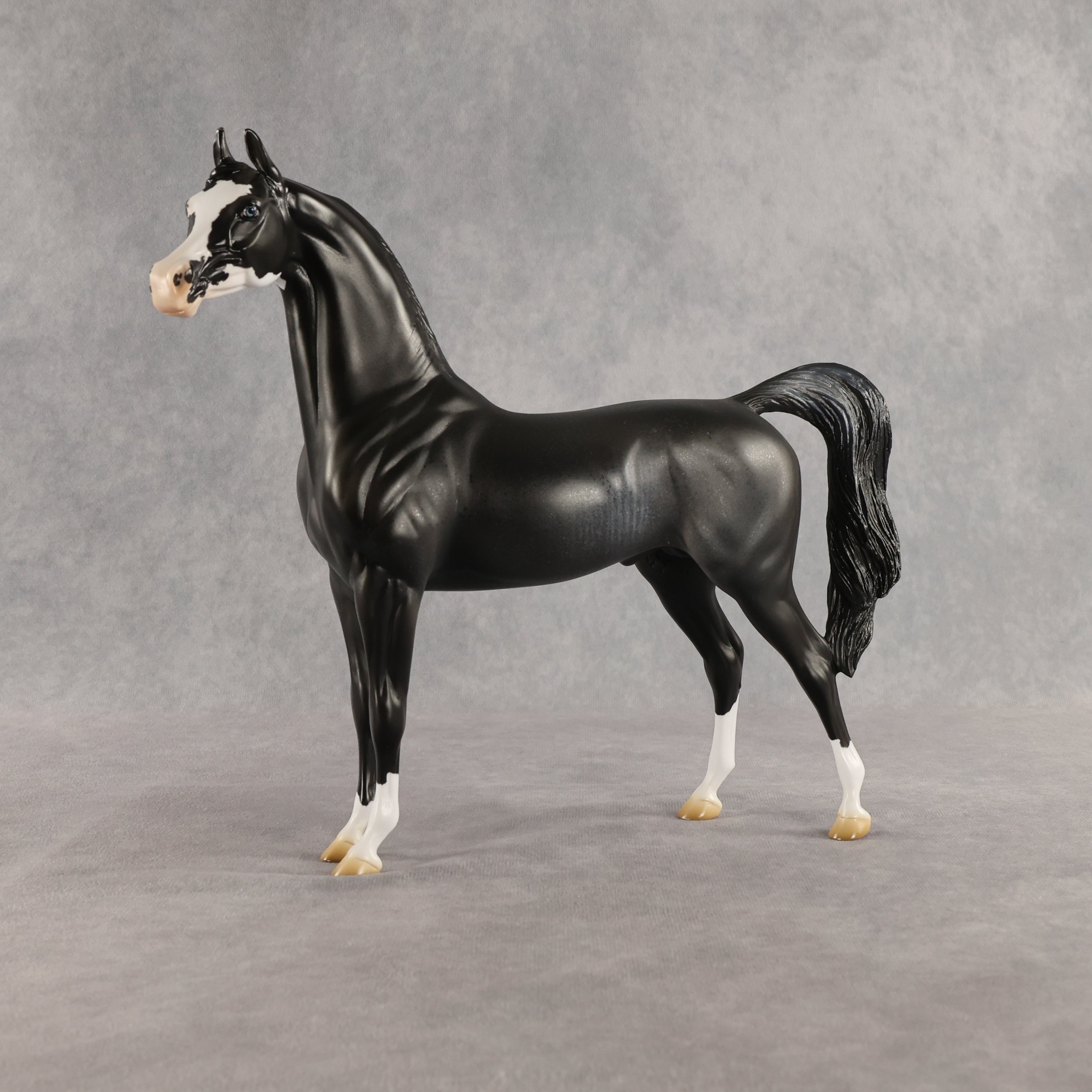 Brackenbury OOAK Arabian Stallion by Jess Hamill SHCF26