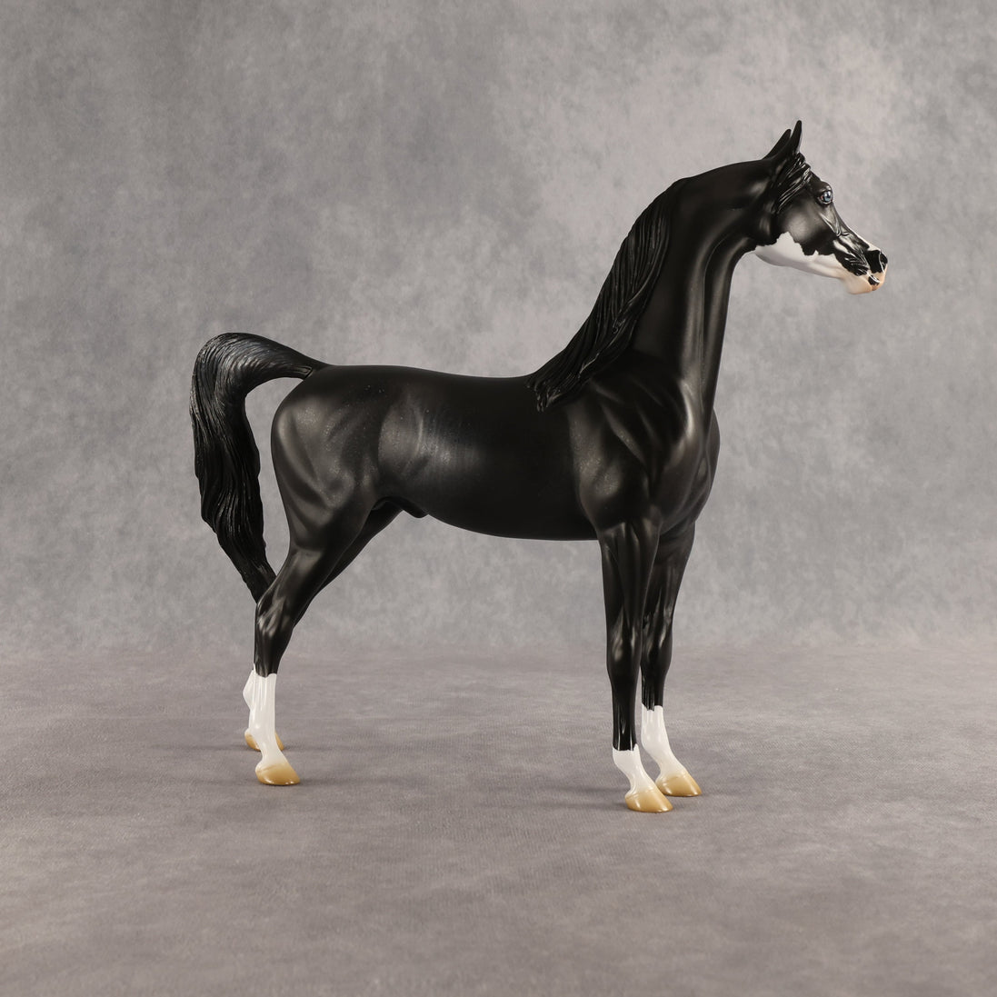 Brackenbury OOAK Arabian Stallion by Jess Hamill SHCF26