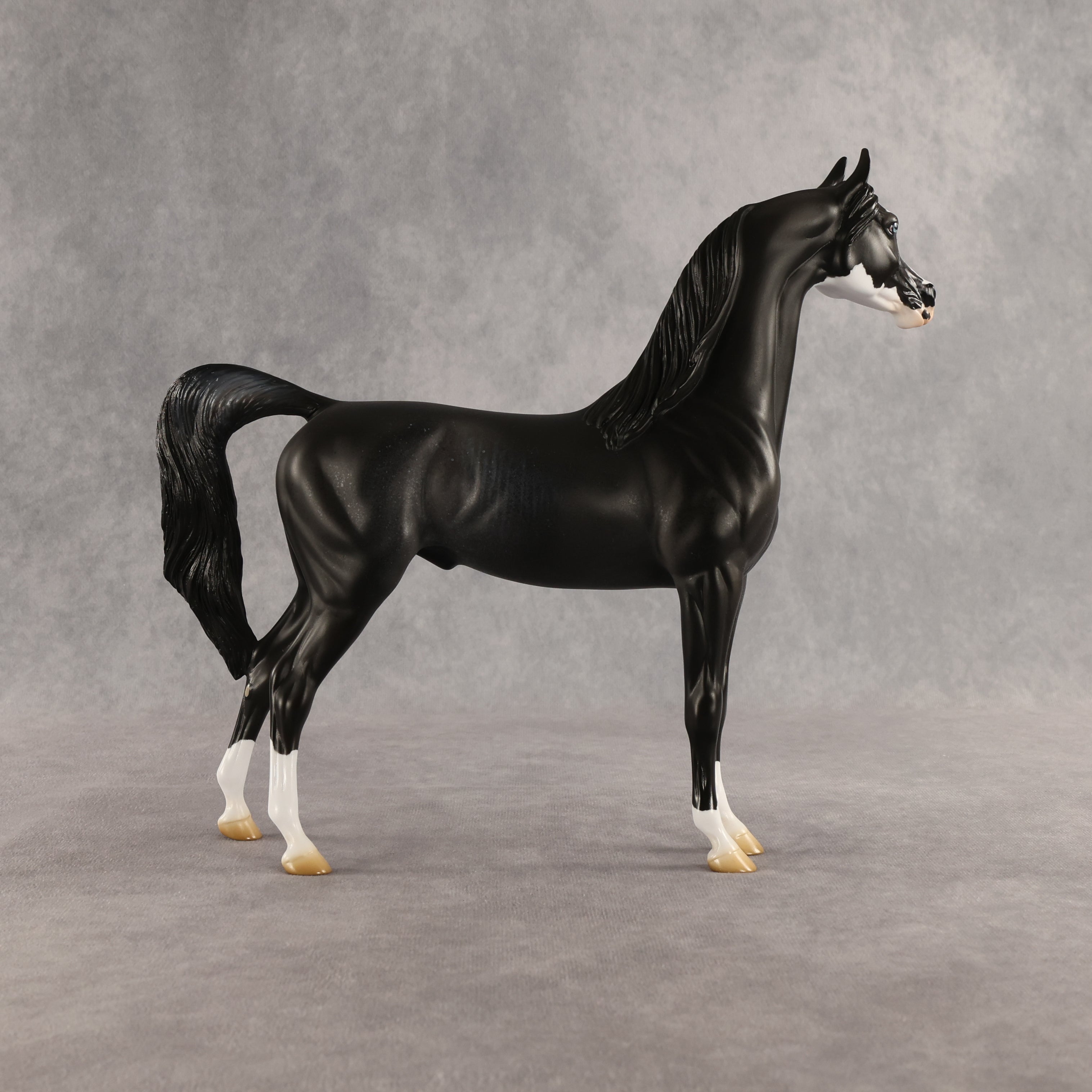 Brackenbury OOAK Arabian Stallion by Jess Hamill SHCF26