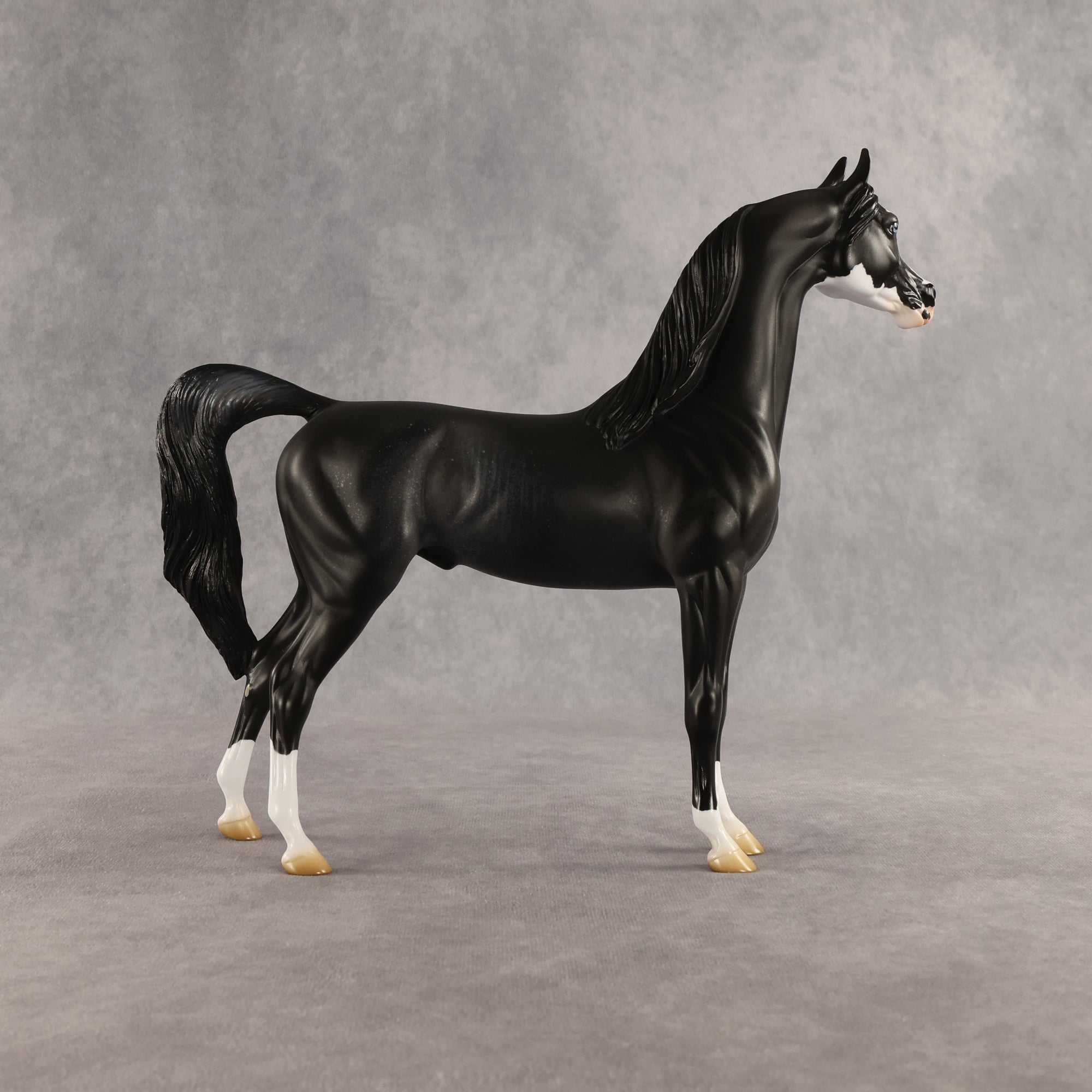 Brackenbury OOAK Arabian Stallion by Jess Hamill SHCF26