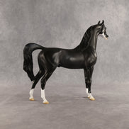 Brackenbury OOAK Arabian Stallion by Jess Hamill SHCF26