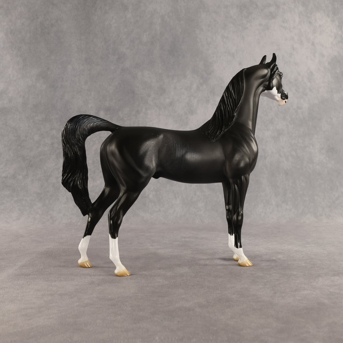 Brackenbury OOAK Arabian Stallion by Jess Hamill SHCF26