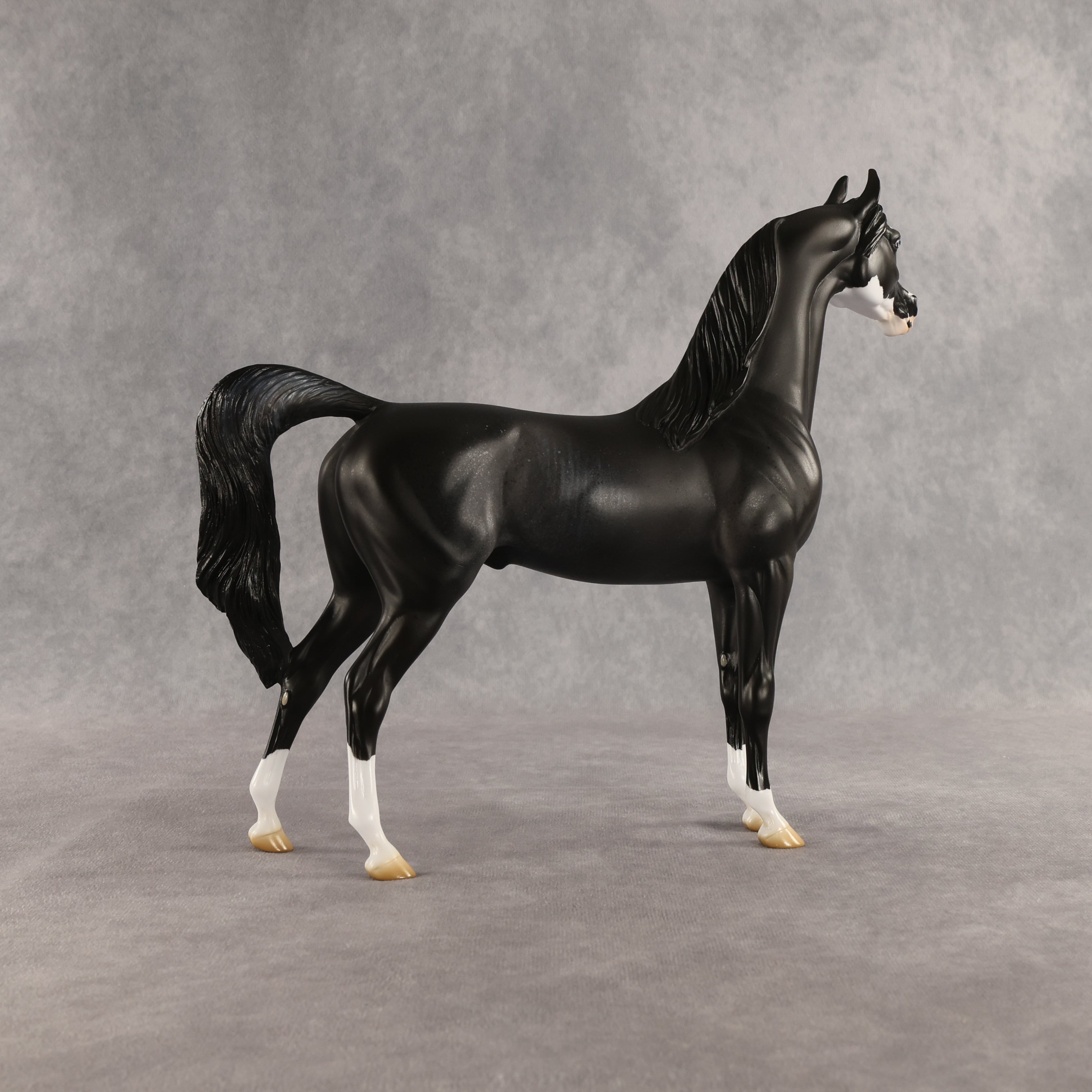 Brackenbury OOAK Arabian Stallion by Jess Hamill SHCF26