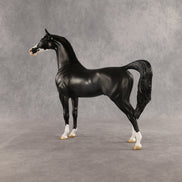 Brackenbury OOAK Arabian Stallion by Jess Hamill SHCF26