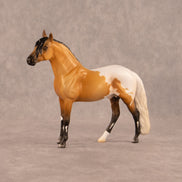 Carmel Swirl OOAK Chip Andalusian by Madi Wiseman EQ26