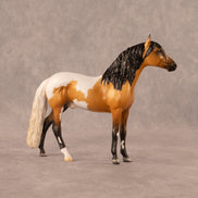 Carmel Swirl OOAK Chip Andalusian by Madi Wiseman EQ26