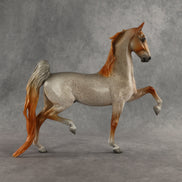 Carrier Pigeon OOAK Saddlebred by Dawn Quick DDOOAKs26