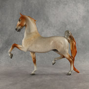 Carrier Pigeon OOAK Saddlebred by Dawn Quick DDOOAKs26