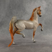Carrier Pigeon OOAK Saddlebred by Dawn Quick DDOOAKs26