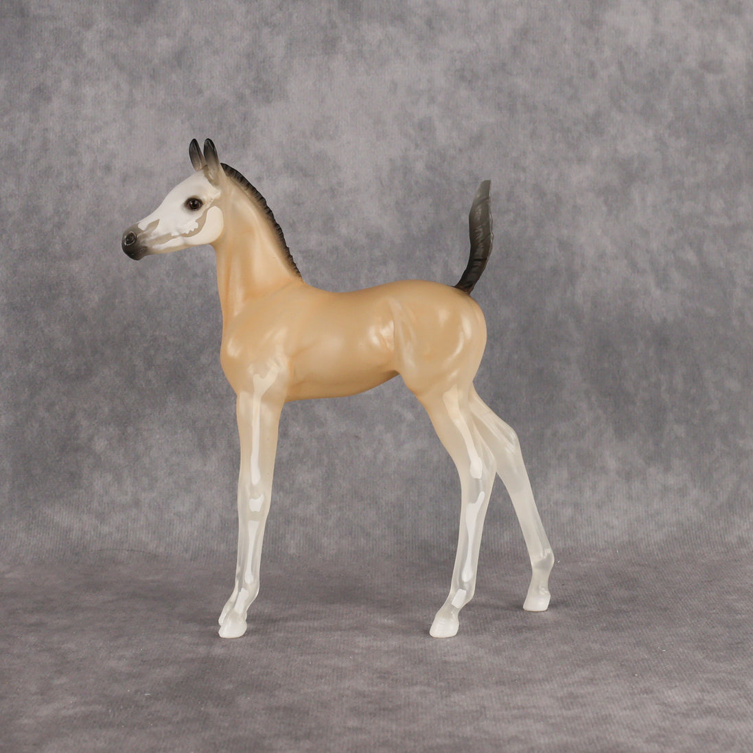 Casper LE-15 Arabian Foal by Jess Hamill HM26