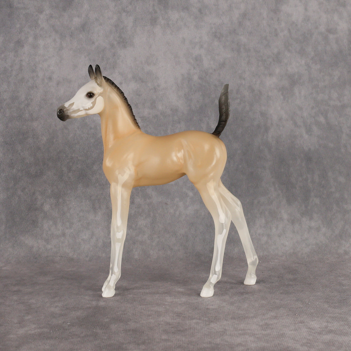 Casper LE-15 Arabian Foal by Jess Hamill HM26