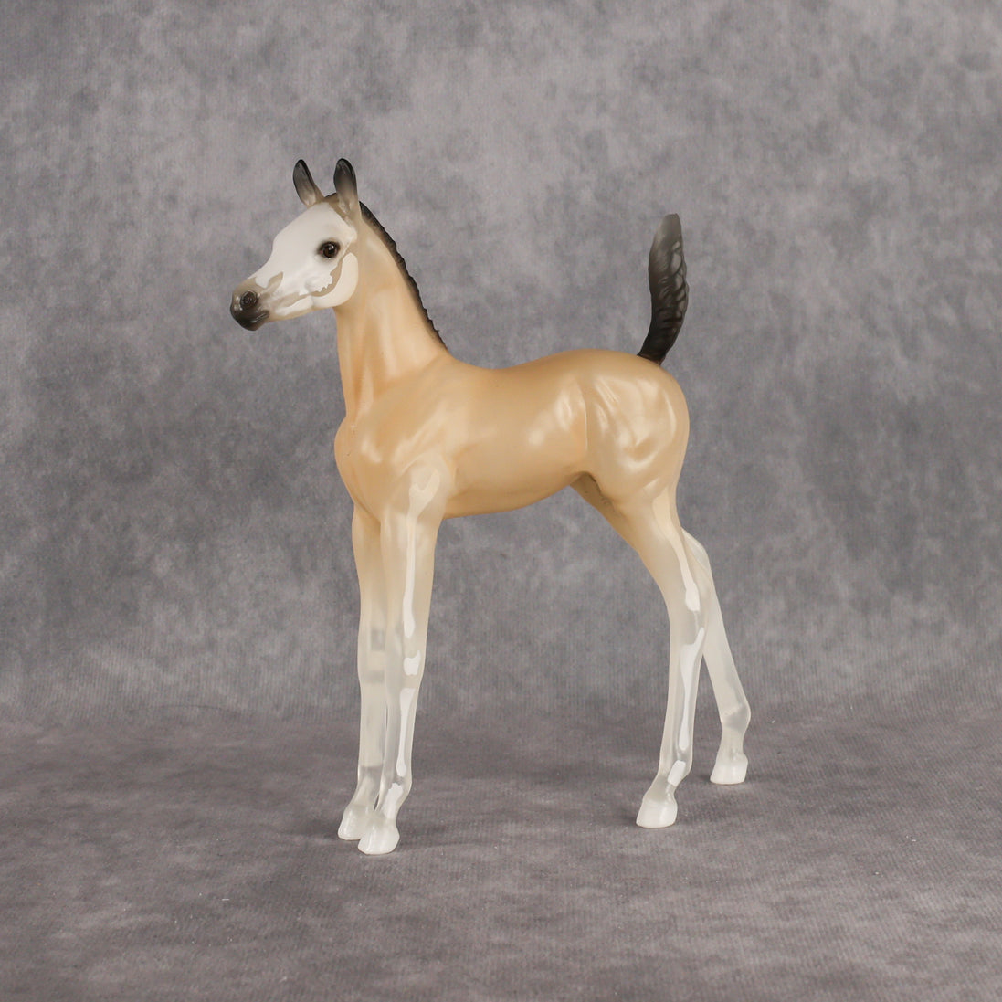 Casper LE-15 Arabian Foal by Jess Hamill HM26