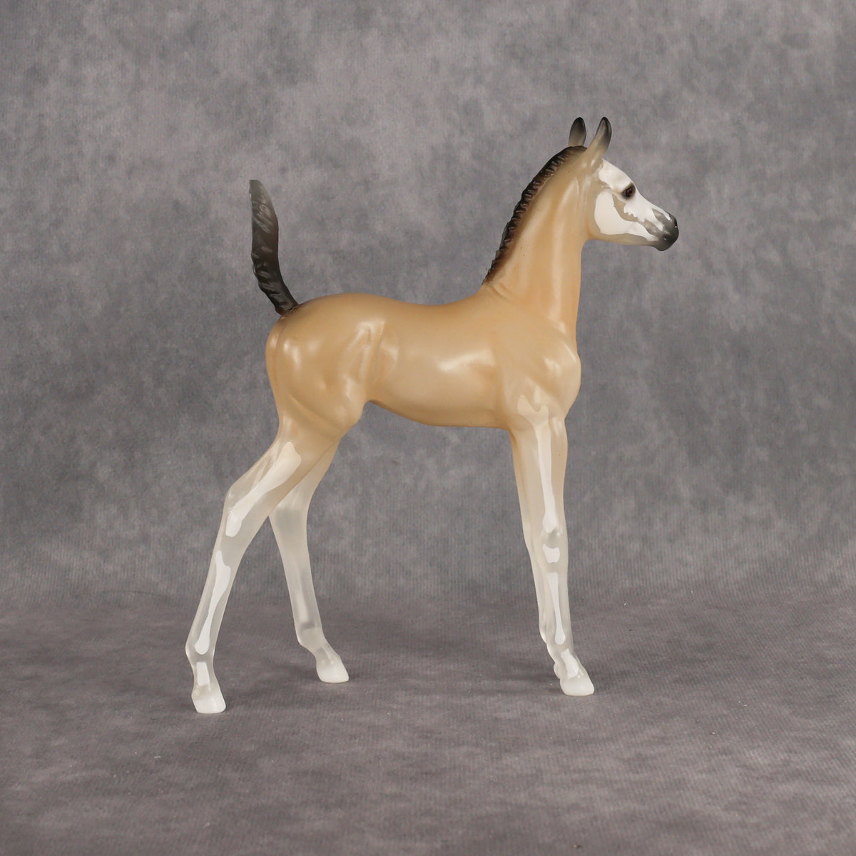 Casper LE-15 Arabian Foal by Jess Hamill HM26