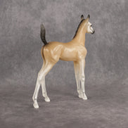 Casper LE-15 Arabian Foal by Jess Hamill HM26