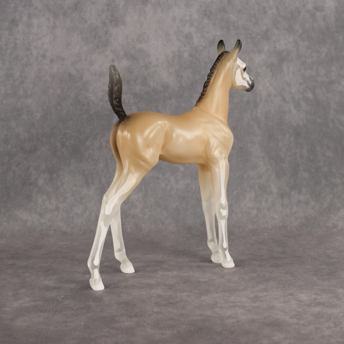 Casper LE-15 Arabian Foal by Jess Hamill HM26