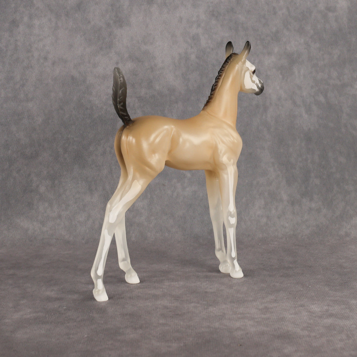 Casper LE-15 Arabian Foal by Jess Hamill HM26