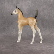 Casper LE-15 Arabian Foal by Jess Hamill HM26