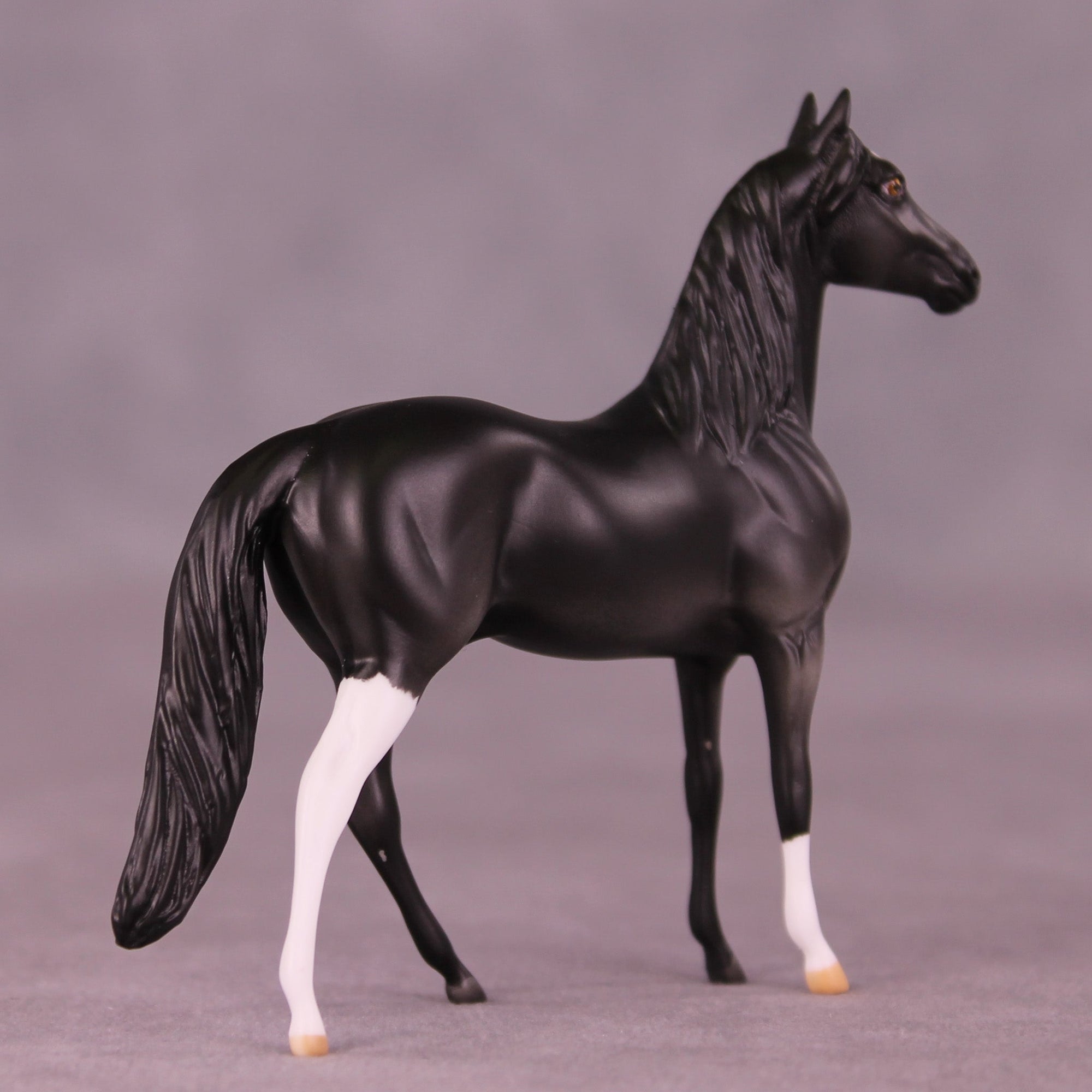 Caspian OOAK Chip Morgan by Anna Rieck MM25 Group B