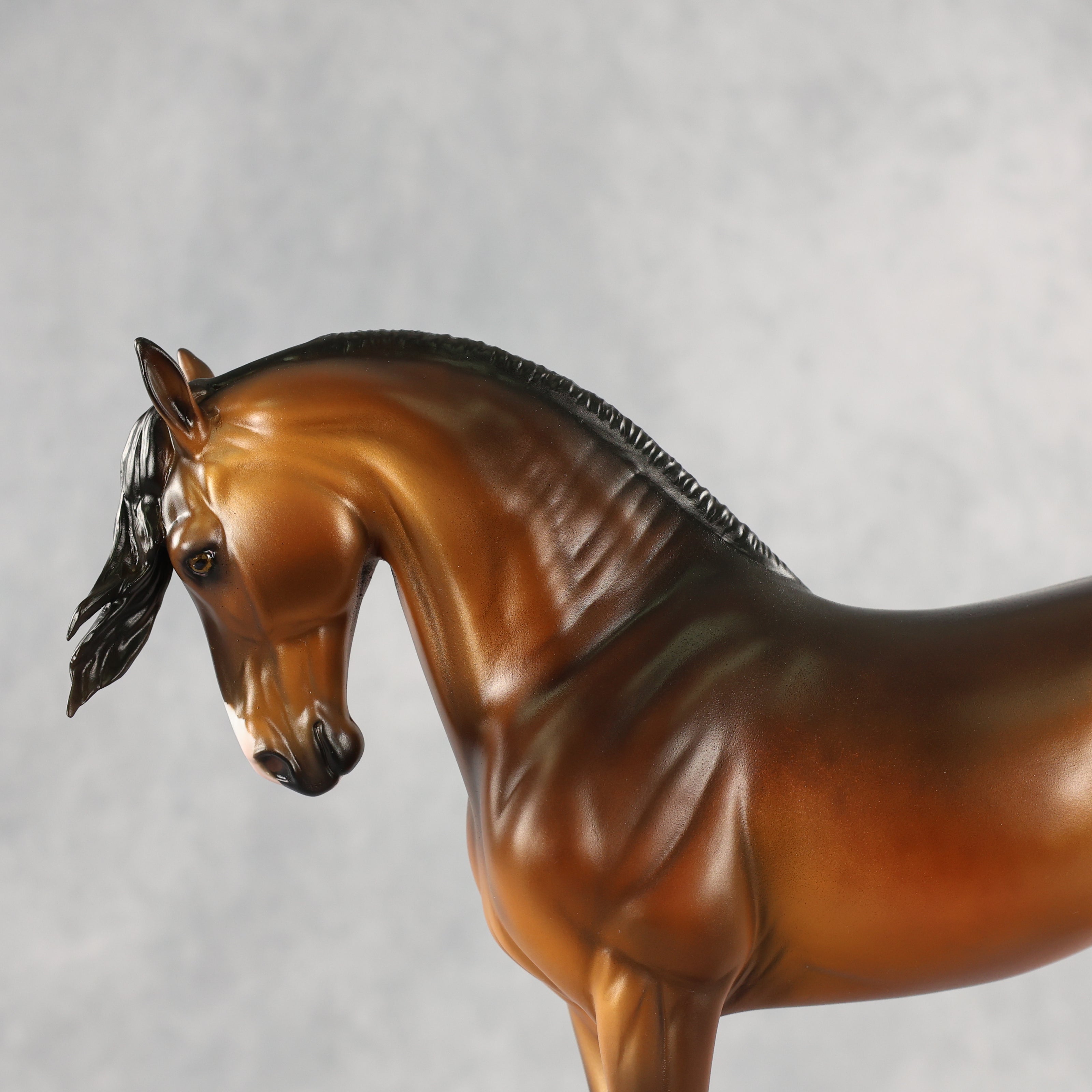 Castaño OOAK FCM Andalusian by Mindy Berg & Melanie Miller GS26