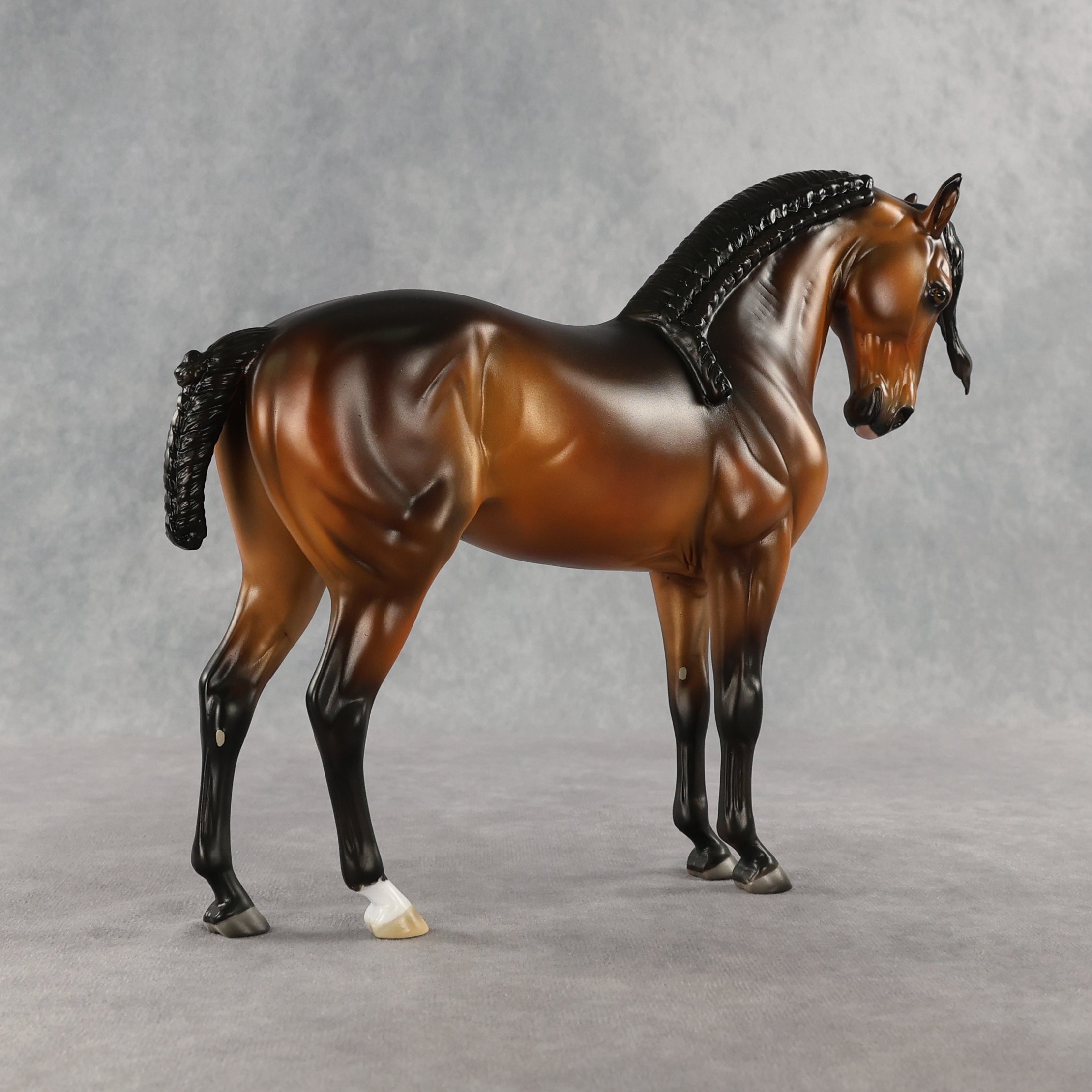 Castaño OOAK FCM Andalusian by Mindy Berg & Melanie Miller GS26