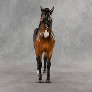 Castaño OOAK FCM Andalusian by Mindy Berg & Melanie Miller GS26