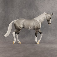 Celebration OOAK Thoroughbred by Dawn Quick SHCF26