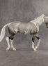 Celebration OOAK Thoroughbred by Dawn Quick SHCF26