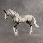 Celebration OOAK Thoroughbred by Dawn Quick SHCF26