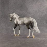 Celebration OOAK Thoroughbred by Dawn Quick SHCF26