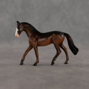 Celebrity Status OOAK Chip Warmblood by Alex Fortman EQ26