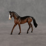 Celebrity Status OOAK Chip Warmblood by Alex Fortman EQ26
